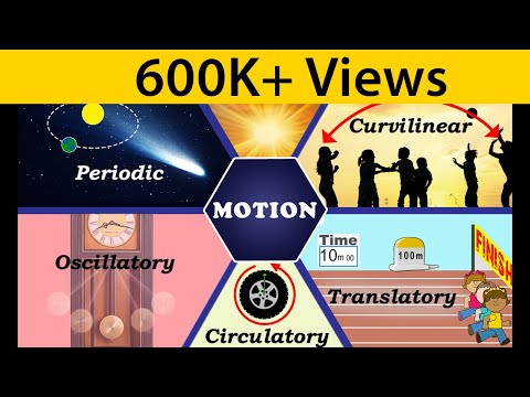 What are the types of motions?