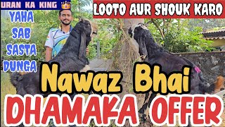 Dhamaka Offer Big Goats Sasta Dunga Sirf Chanas Me Looto Aur Shouk Karo || Nawaz Bhai Uran Mumbai ||