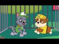 paw patrol ultimate rescue skye s journey to recovery love and laughter with the pups sad story