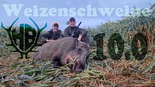 Weizenschweine 10.0 - die ersten Minuten! - Hunter Brothers