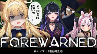 【 FOREWARNED 】ピラミッドにぎやかし担当…！頑張ります！！【 ﾚｸﾞﾙｼｭ･ﾗｲｵﾝﾊｰﾄ/狂蘭メロコ/兎鞠まり/ガッチマンV 】