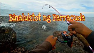 Ep36 Binaluktot ng malaking Barracuda ang aking Rod / Shore Casting Philippines