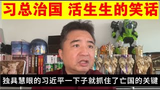 翟山鹰：习近平治国就是活生生的笑话