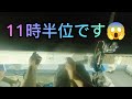 海釣り編🔥響灘夜焚きイカ釣り😎