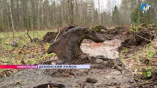 В Демянских лесах поисковики обнаружили детали от подорванного танка Т-34