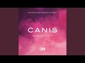 Canis (Jerome Isma-Ae Remix)