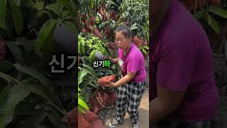 놀라운 샤워 생각 마지막은 정말 충격적입니다 🤯