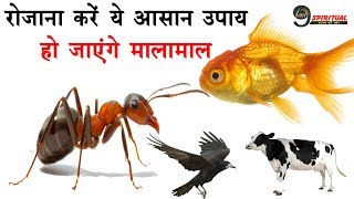 रोजाना  करें ये आसान उपाय, बदल जाएगी तकदीर, जरुर देखें वीडियो...| Asaan Totke