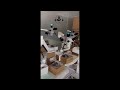 ADAE Professional Dental Microscope from ADAE International Dental Store