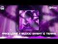 Fake Love x Blood Sweat & Tears   ThinhGia x HC Remix    Nhạc Hot TikTok Remix Mới Nhất 2024