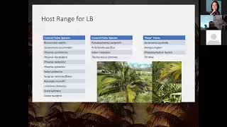 Epidemiology of palm lethal decline phytoplasmas in Florida and ecology of the vector