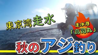 走水でアジ釣り最高ですね！