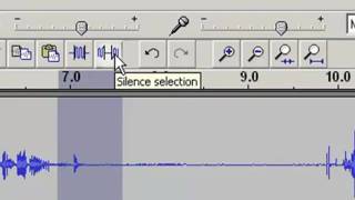 Audacity -- Edit Toolbar