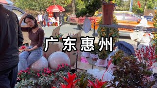 2025年除夕下午 实拍广东省惠州市博罗县园洲镇人民公园 很多卖小橘子树的 橘子粤语中谐音“吉” 广东人寓意过年大吉大利 这在北方根本看不到 China huizhou yuanzhou town