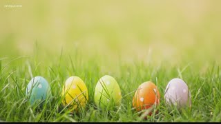 Easter Bunny origins: How the character symbolizes life and rebirth