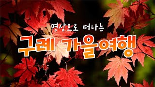 구례 산수유마을, 지리산 피아골; 한 편으로 끝내는 가을여행🍂