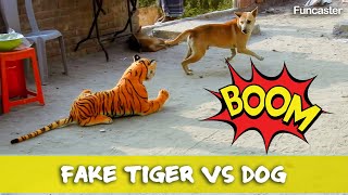Must Watch New Fake Tiger Prank Dog - Part 25