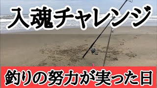 【鹿島灘サーフ】入魂チャレンジの結果何投で何が釣れたのか？ヒラメ、シーバス、青物、何でも良いから魚の顔が見たい