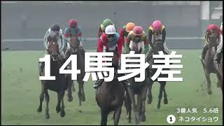 【競馬】【大逃げ】歴史的な大逃げ！逃げて逃げて大差で勝利！【芝編】