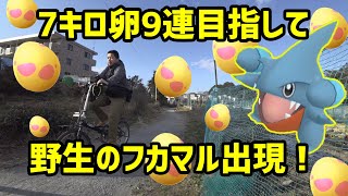 【ポケモンGO】出遅れヒコボン、7キロ卵9連を目指す