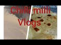 chilli milli vlogs