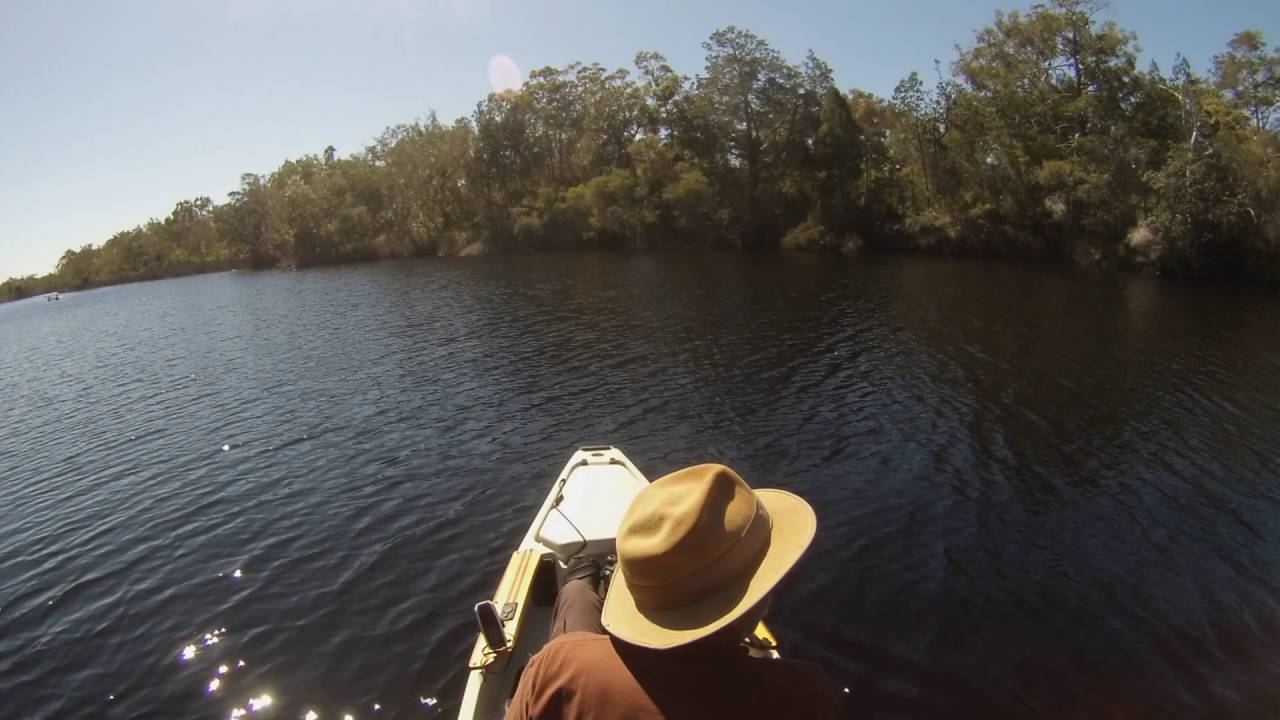 Everglades Youtube