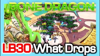 What Drops on (LB30) Bone Dragon ? / Dragon Nest China