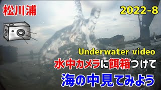 松川大橋　釣りポイントから8月の水中映像をお送ります。今年の夏は大変暑かったですよね。はたして海の中はどんな感じになっているでしょうか？underwater video