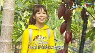 《客庄好味道》EP173：濃情滑順可可香內埔(屏東內埔)