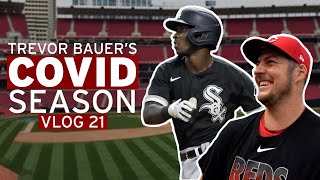 Tim Anderson Tells Trevor Bauer to \