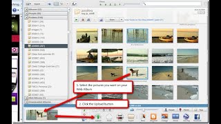 How to create photo collage in Picasa and download premium images || Quick tutorial