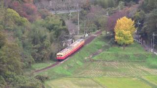 １１月２７日（日）　銀杏が見ごろの小湊鉄道上総大久保駅