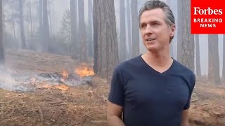 Newsom Ties Caldor Fire Directly To Climate Change, Promises Overhaul Of How California Uses Energy