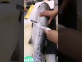 如何切除三文鱼鳞？how to remove salmon scales？