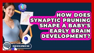 How Does Synaptic Pruning Shape A Baby's Early Brain Development? - Brain Development Hub