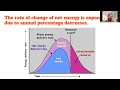 a net energy lens perspective