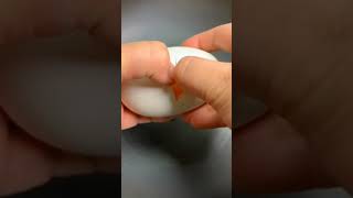 Best Oddly Satisfying Video 28