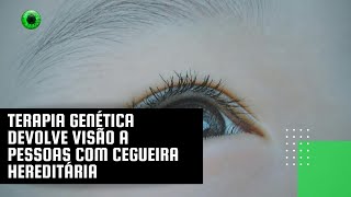 Terapia genética devolve visão a pessoas com cegueira hereditária