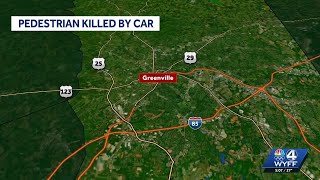 Coroner identifies man hit and killed on Upstate interstate
