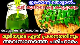 മുടി വളർത്താനും കറുപ്പിയ്ക്കാനും ഇനി എങ്ങും ഓടി നടക്കേണ്ട | Natural hair dye | Hair problem solution