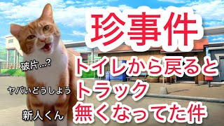 【珍事件】トイレから戻るとトラック無くなってた件【猫ミーム】【猫マニ】