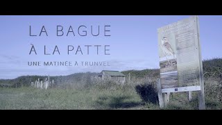 LA BAGUE À LA PATTE - Une matinée à Trunvel