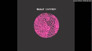 Sully - Exit