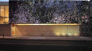 Street Views: Jennifer Steinkamp
