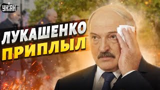 Дедушка приплыл: Лукашенко косит под умирающего и избегает Путина - Мартынова