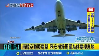 南韓空難疑鳥擊 務安機場周圍為候鳥棲息地 鳥擊不罕見! 美軍稱多發生在500公尺下空域  │記者 薛霈瑄 ｜國際關鍵字20241230│三立iNEWS