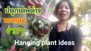 DIY ปลูกเดฟด่างทรงบอลใส่กาบมะพร้าวแบบง่ายๆ II How to Make Tree Planting in Net/hanging pot diy