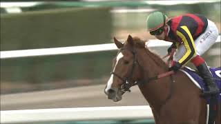 第５６回　有馬記念（ＧⅠ）　オルフェーヴル　牡３　55　池添謙一　2011.12.25　出走馬：エイシンフラッシュ、トゥザグローリー、ルーラーシップ、ブエナビスタ、ヴィクトワールピサ、ヒルノダムール他