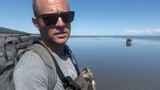 Bear Viewing Alaska