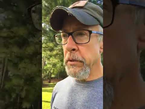 Letting the Chickens Out with Jim - 06/15/2018 Letting the Chickens Out with Jim - 06/15/2018